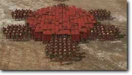 Schildkr&ouml;te aus zooologischer Sicht